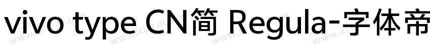 vivo type CN简 Regula字体转换